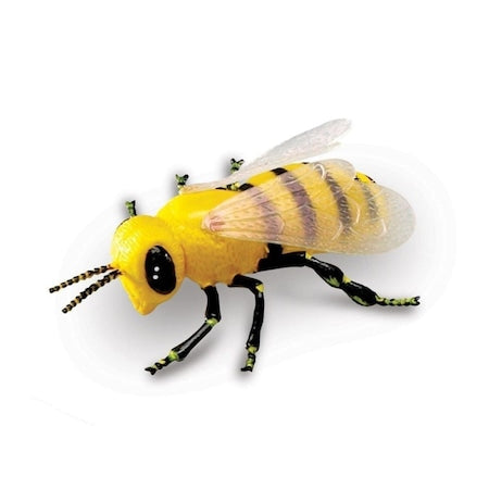 Set 18 Insecte, Figurine, Insect World Nature, multicolor, 6 cm