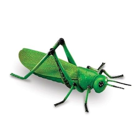 Set 18 Insecte, Figurine, Insect World Nature, multicolor, 6 cm