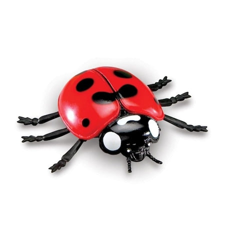 Set 18 Insecte, Figurine, Insect World Nature, multicolor, 6 cm